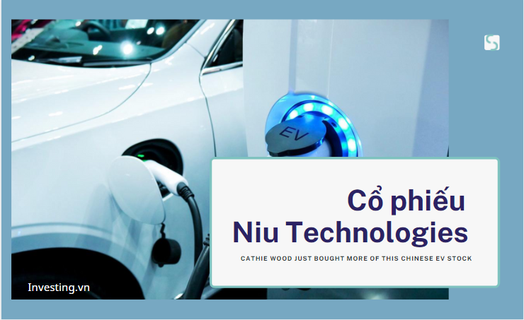 Bùng nổ 'cơn sốt' xe điện trên toàn cầu, Cathie Wood vừa mua thêm cổ phiếu Niu Technologies (NIU)